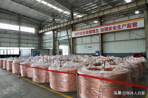 向綠而行，智造未來 湘潭金龍新材料的技術(shù)創(chuàng)新之路